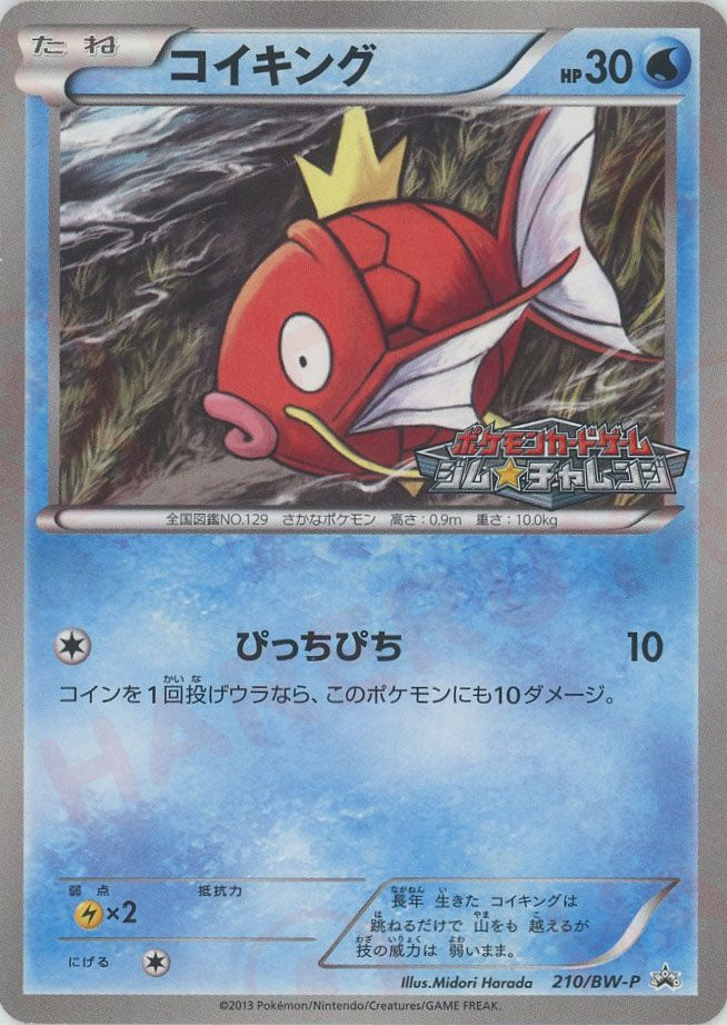 コイキング PROMO BW-Pプロモカード 210/BW-P コイキング(PROMO){水}〈210/BW-P〉[BW-P] – 晴れる屋2 大宮店
